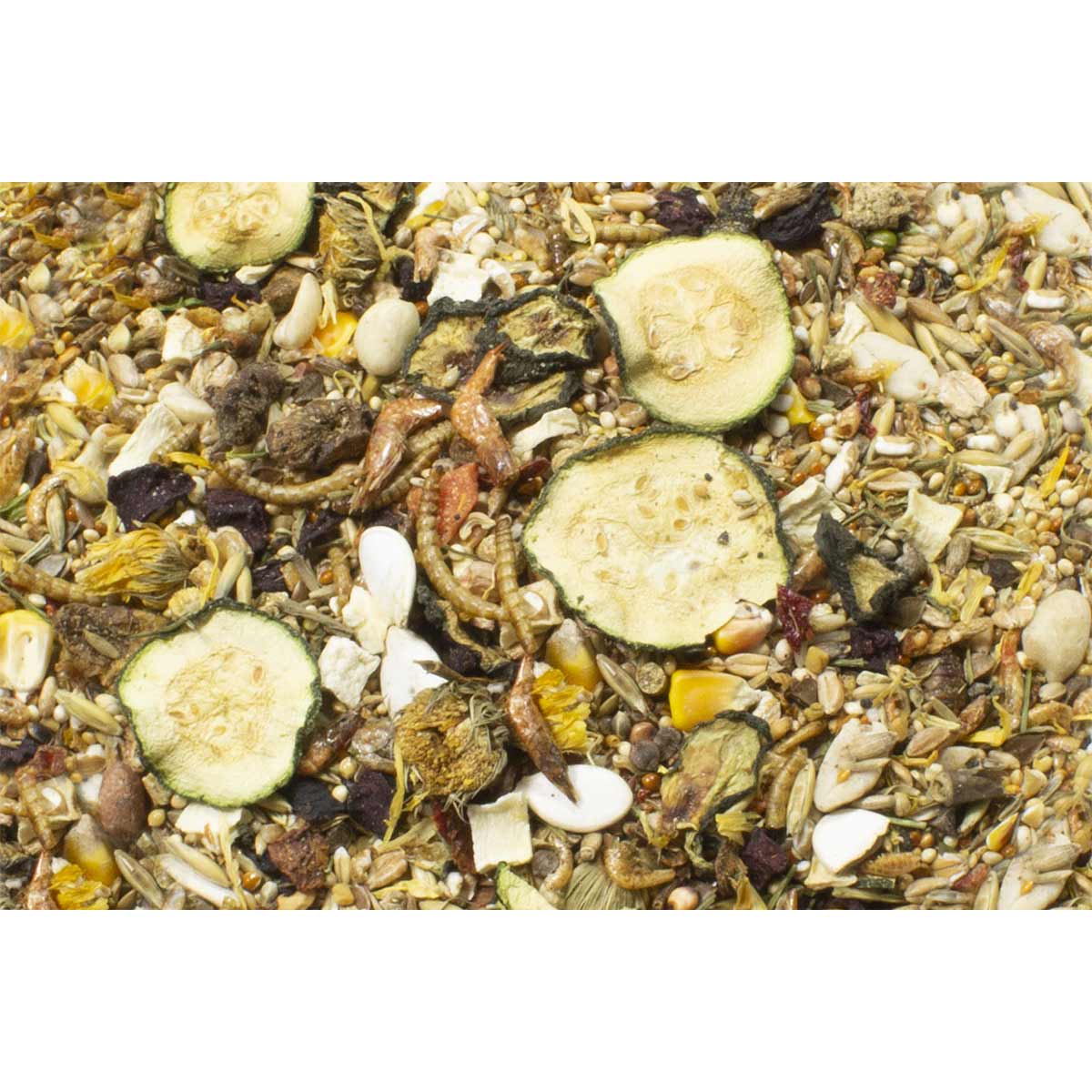 JR Farm Food zakrslý křeček Adult 500 g
