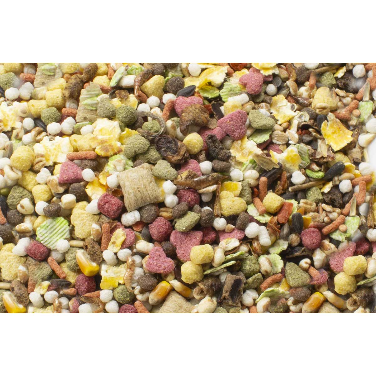 JR Farm pochoutka pro krysy 2,5 kg