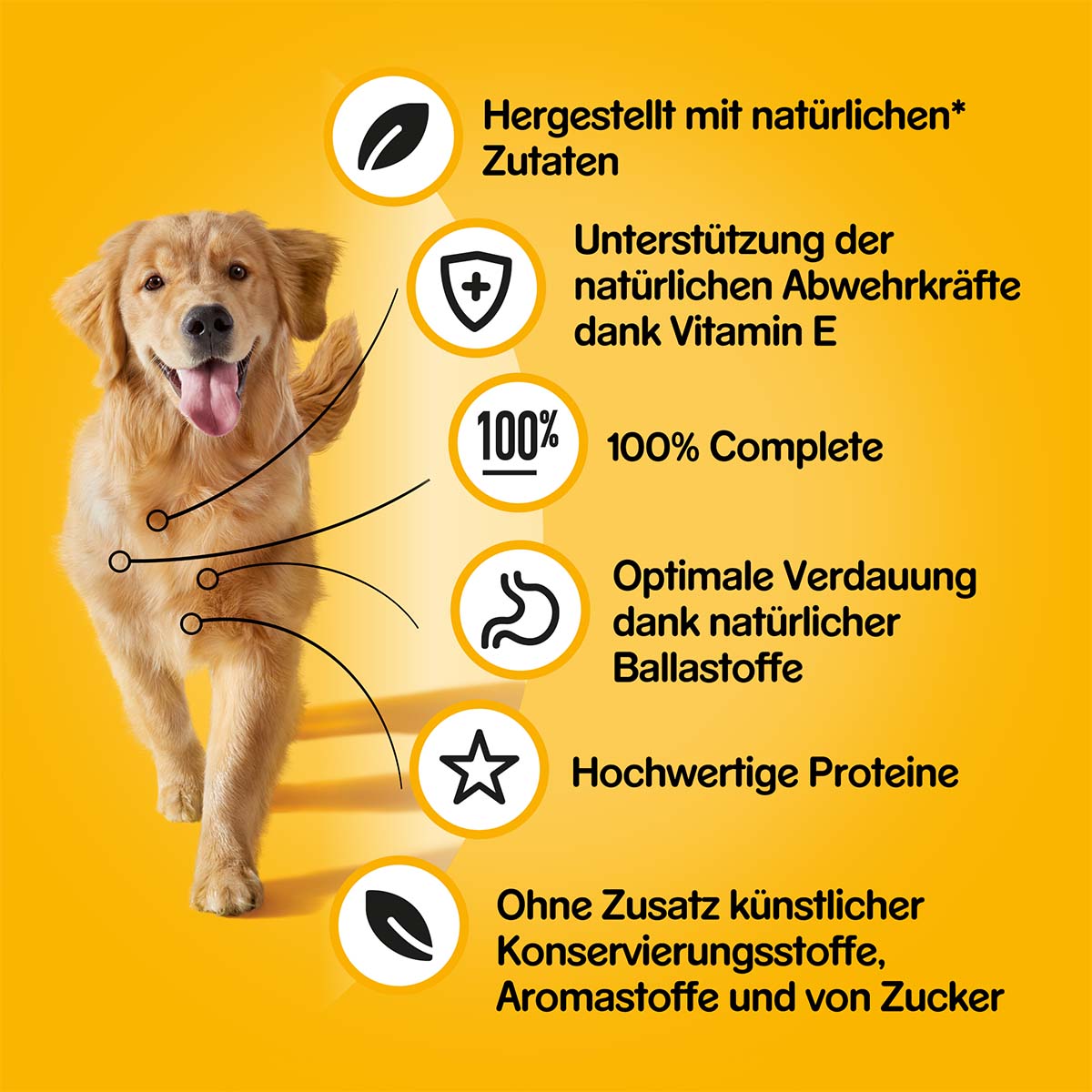 Pedigree plechovka se krabice se 3 druhy masa: hovězí, jehněčí a kuřecí
