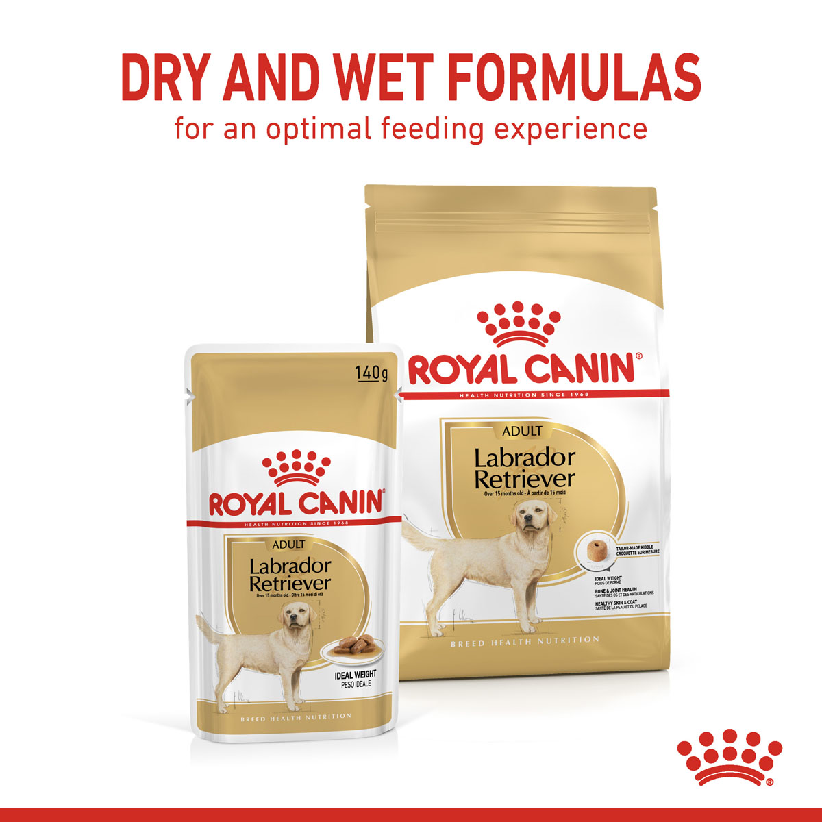 ROYAL CANIN Labrador Retriever Adult 3 kg + Labrador Adult v omáčce 10× 140 g