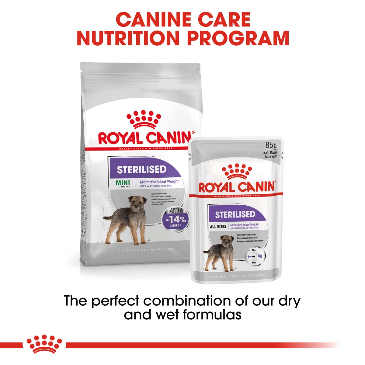 ROYAL CANIN STERILISED MINI 8 kg + STERILISED Mousse 12× 85 g