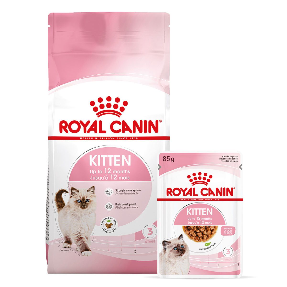 royal canin kitten trockenfutter 2kg plus nassfutter in sosse