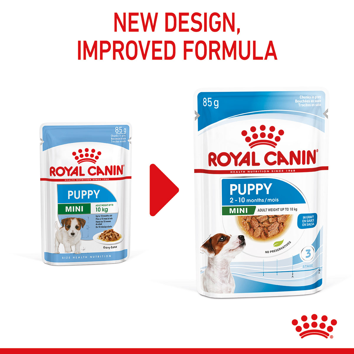 ROYAL CANIN Mini Puppy, krmivo pro malé psy
