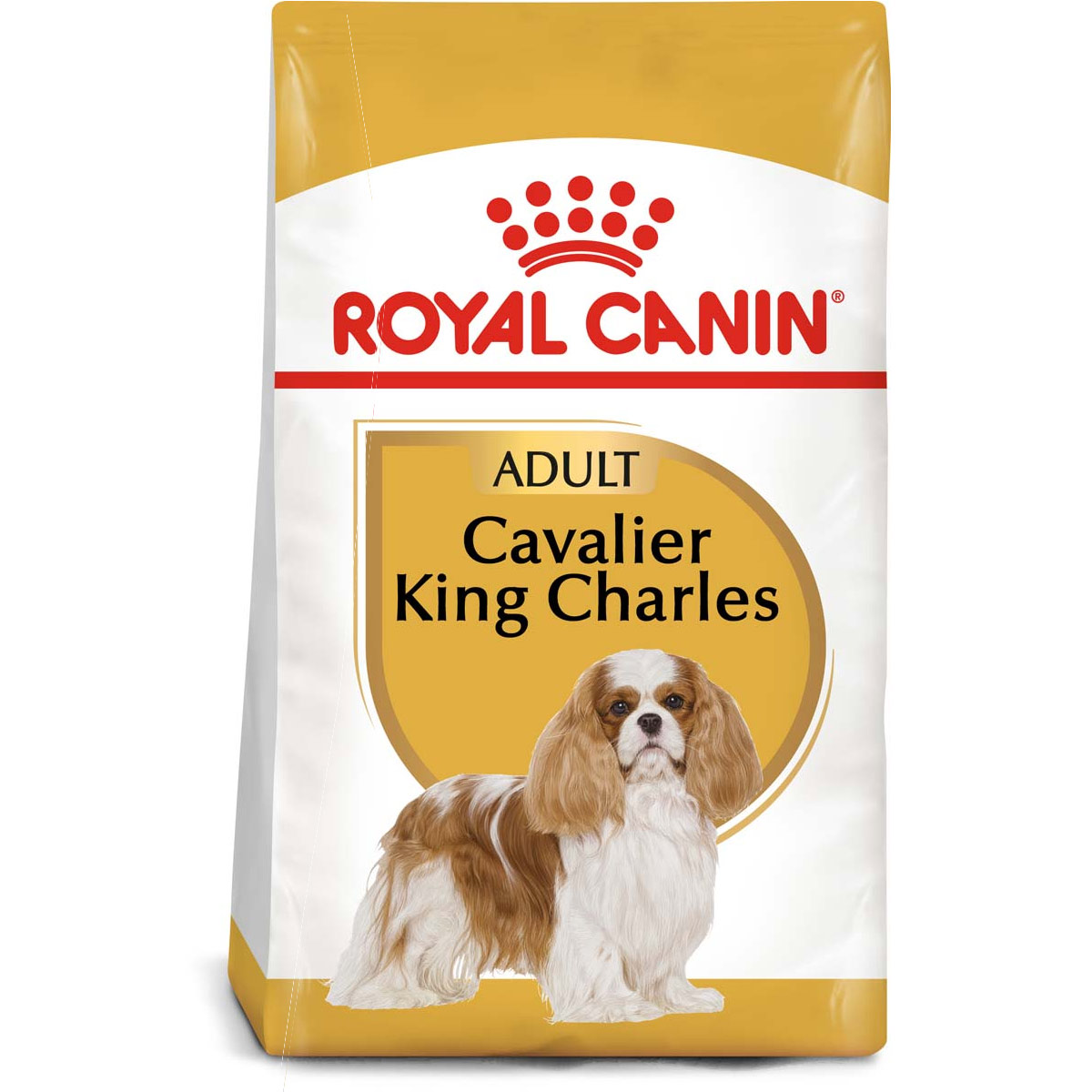 royal canin adult cavalier kibg charles web