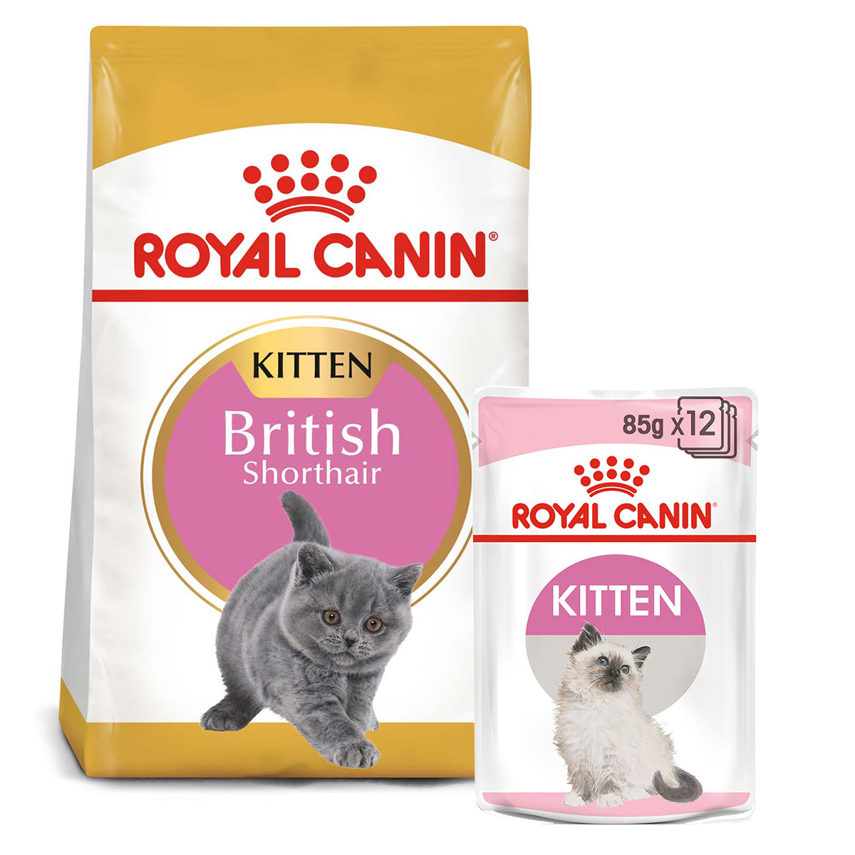 ROYAL CANIN KITTEN British Shorthair 2 kg + Kitten v omáčce 12× 85 g