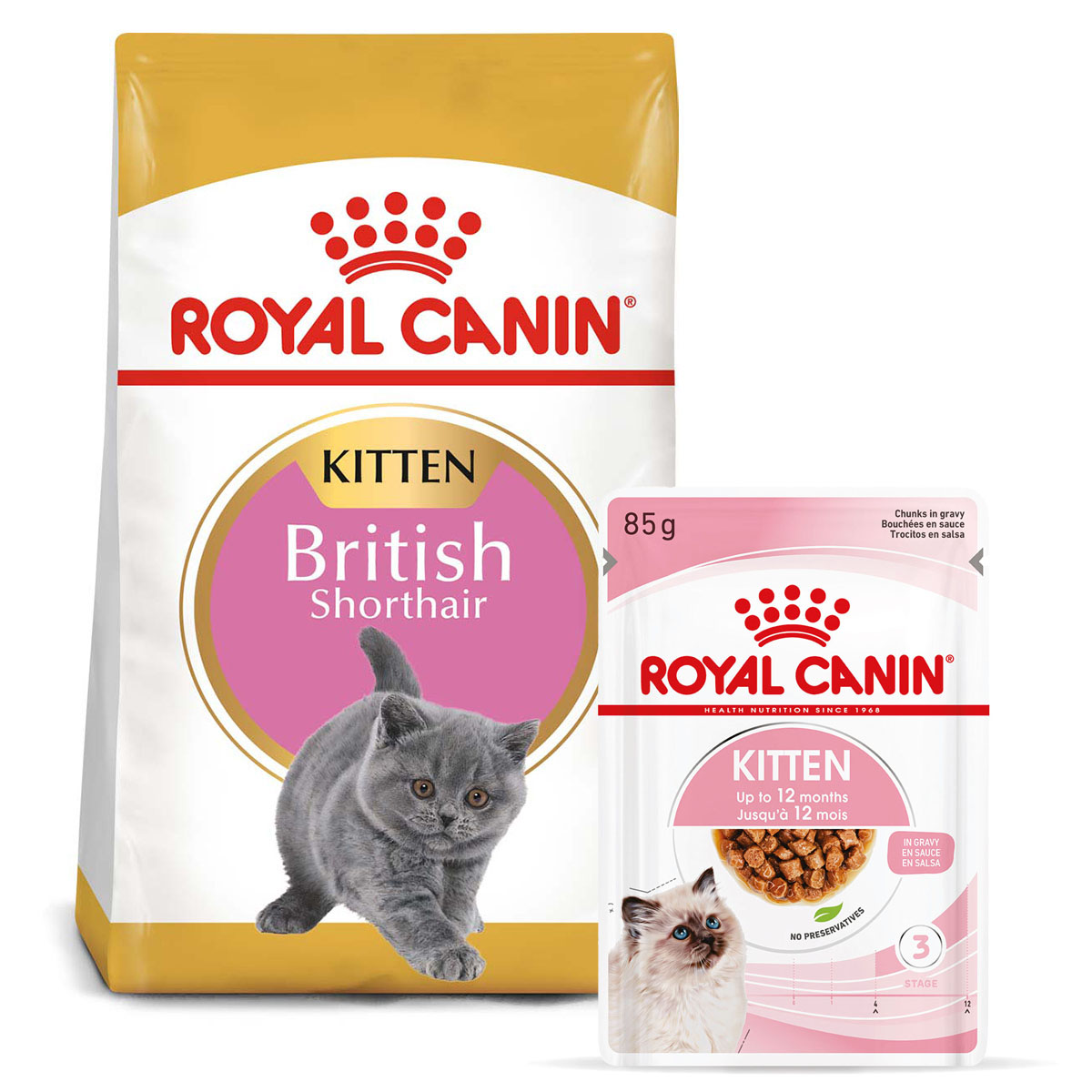 ROYAL CANIN KITTEN British Shorthair 2 kg + Kitten v omáčce 12× 85 g