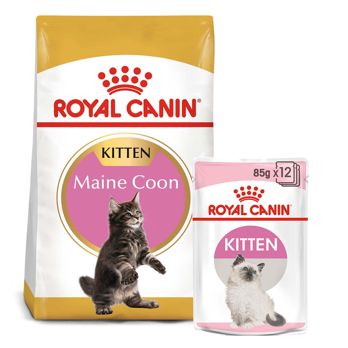 ROYAL CANIN KITTEN Maine Coon 4 kg + Kitten v omáčce 12× 85 g