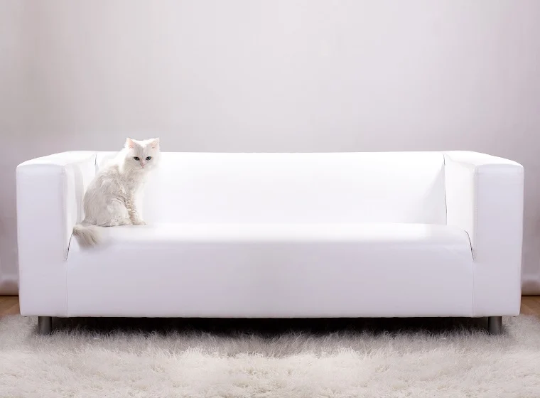 Stilvoll wohnen mit Katze