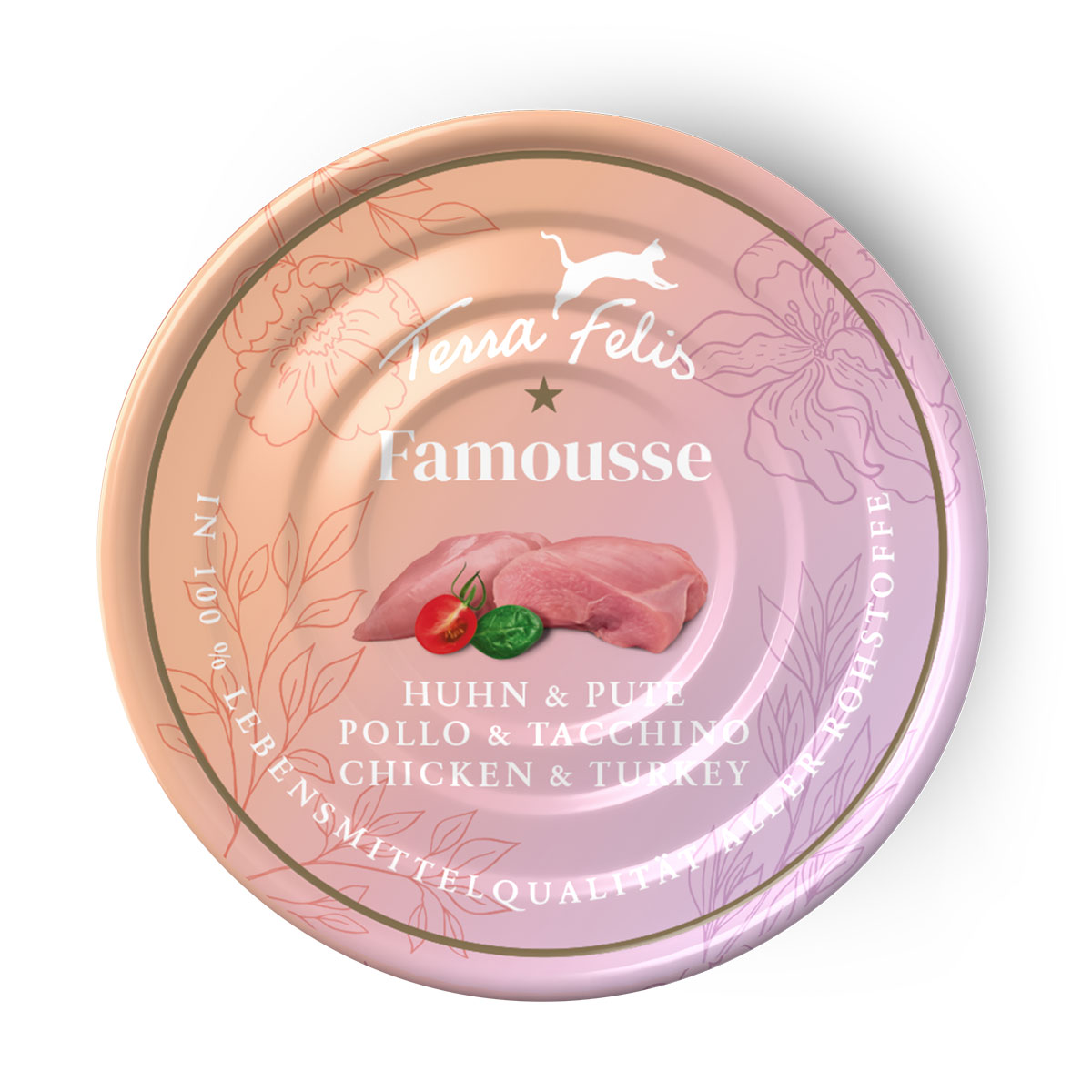 Terra Felis Famousse kuře &amp; krůta