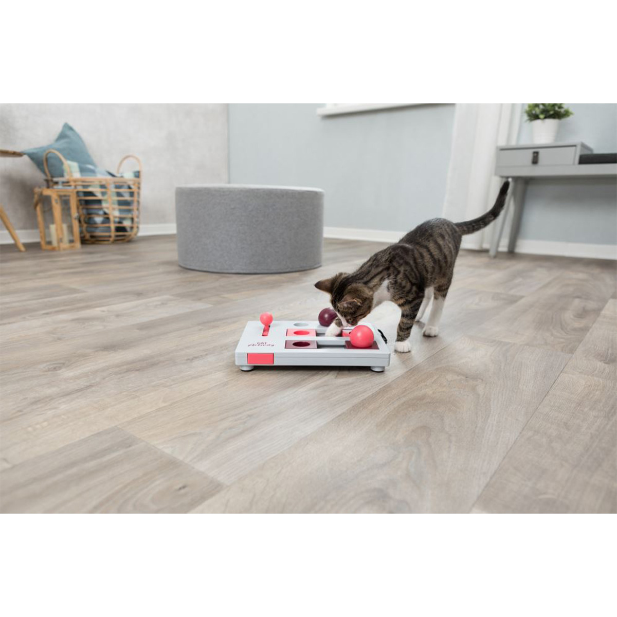 Trixie Cat Activity Brain Mover hračka podporující inteligenci