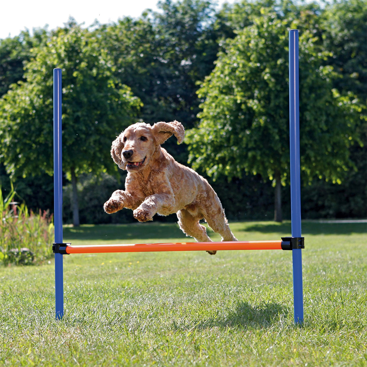 trixie dog activity agility huerde