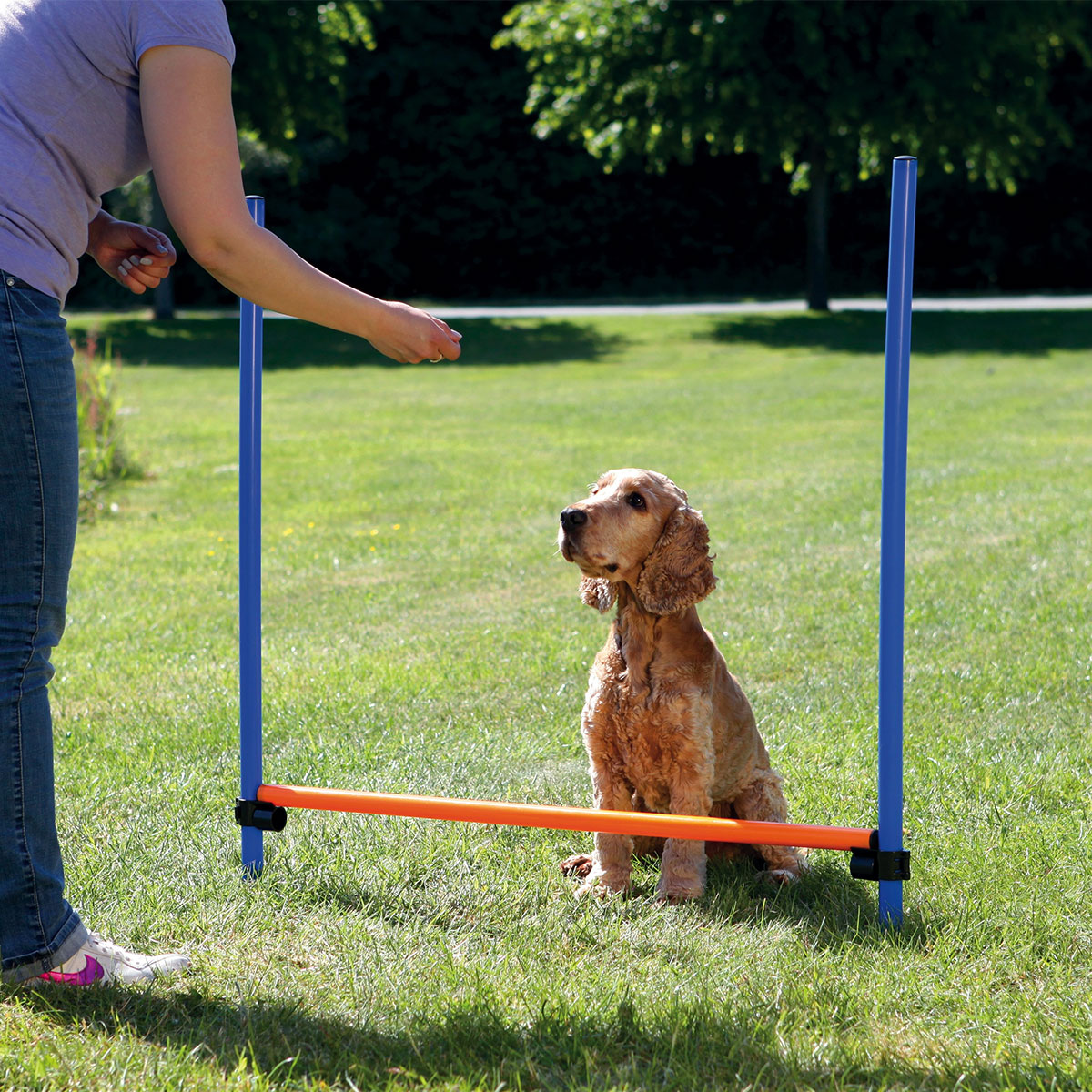 Trixie Dog Activity Agility překážka