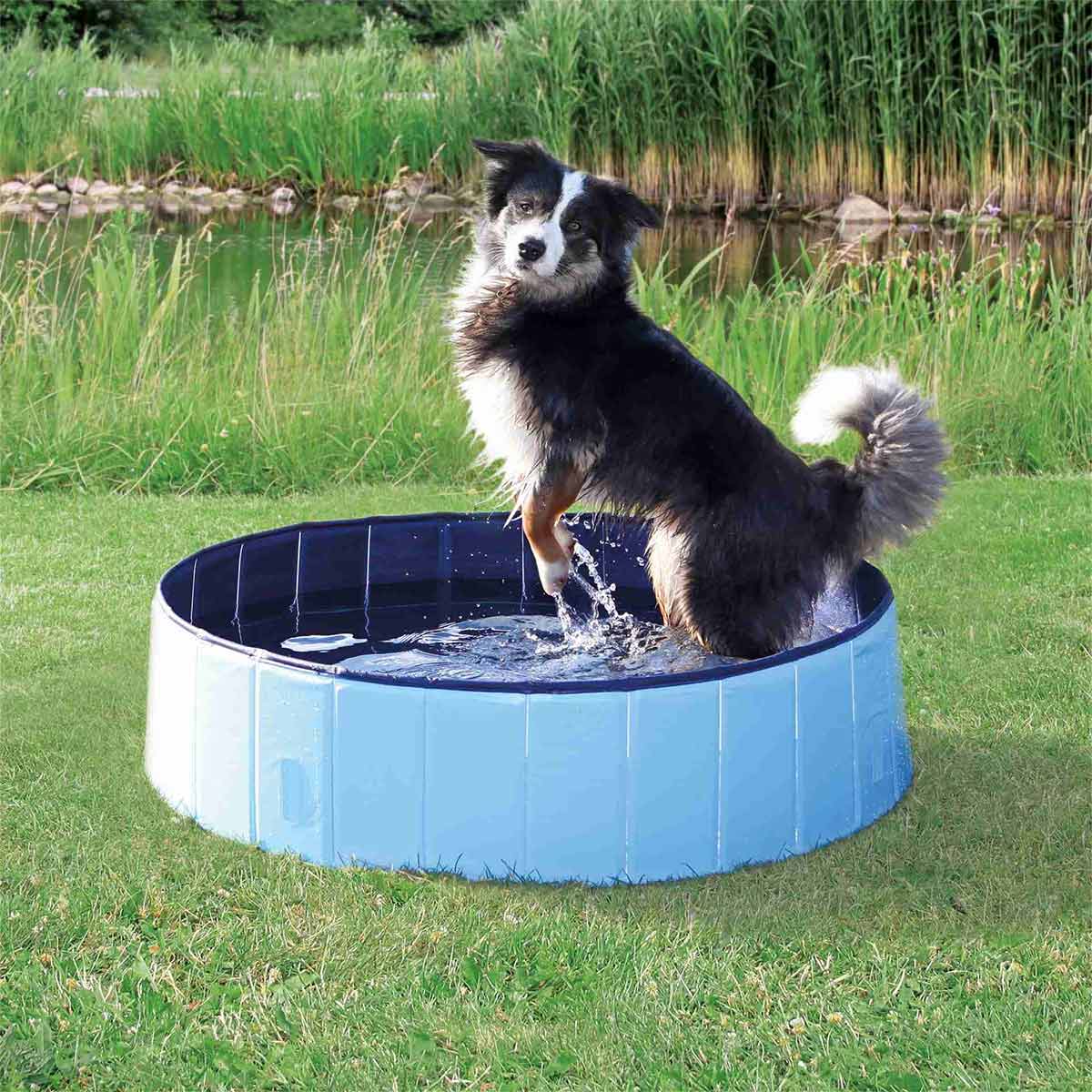 Trixie bazén pro psy, světle modrý
