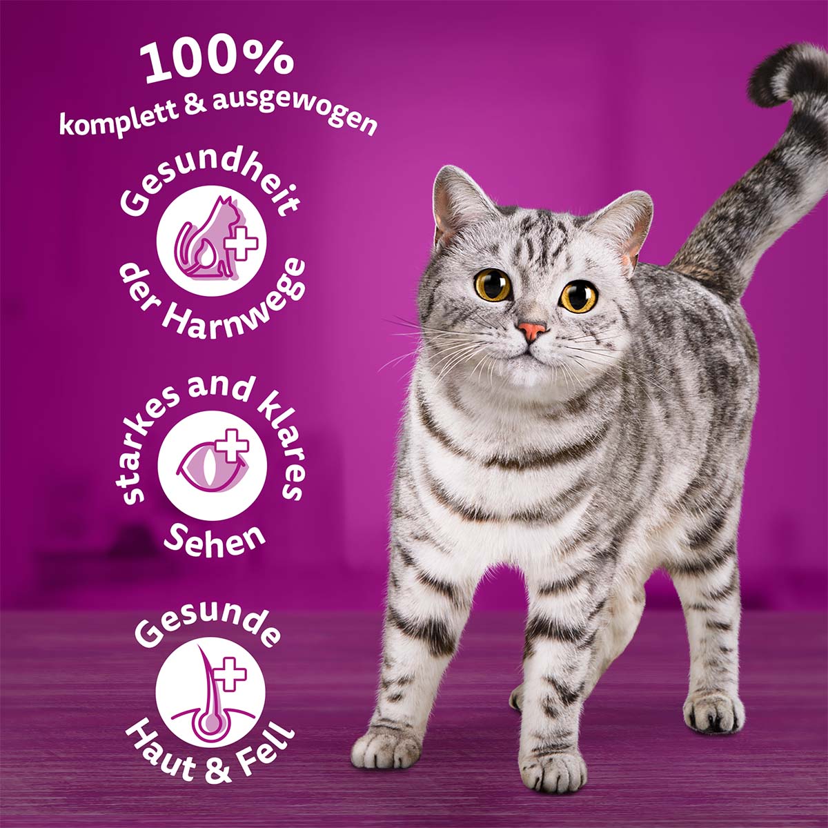 Whiskas Adult 1+ s kuřecím masem